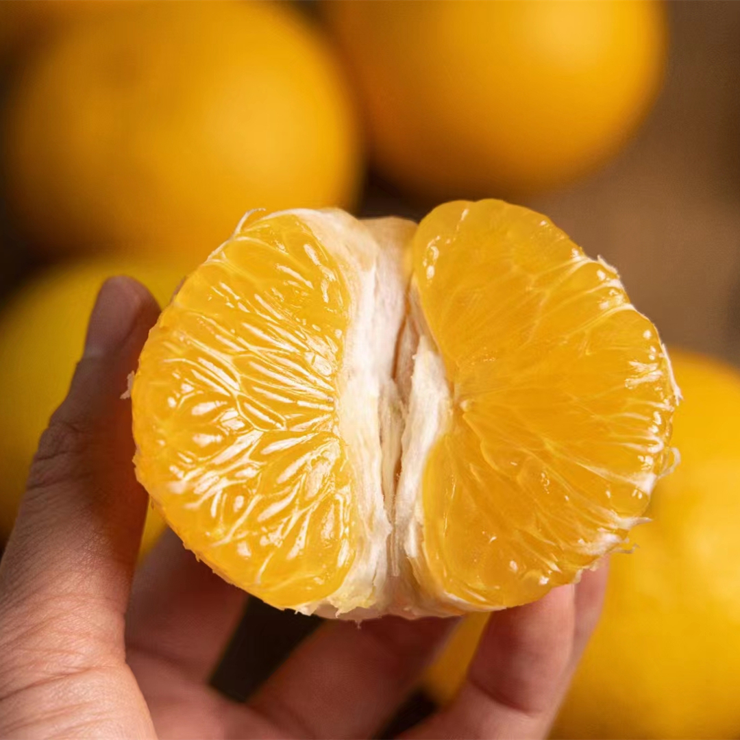 正宗福建桔柚爆汁甜心柚现摘现发当季新鲜水果非庆元会昌5/9斤