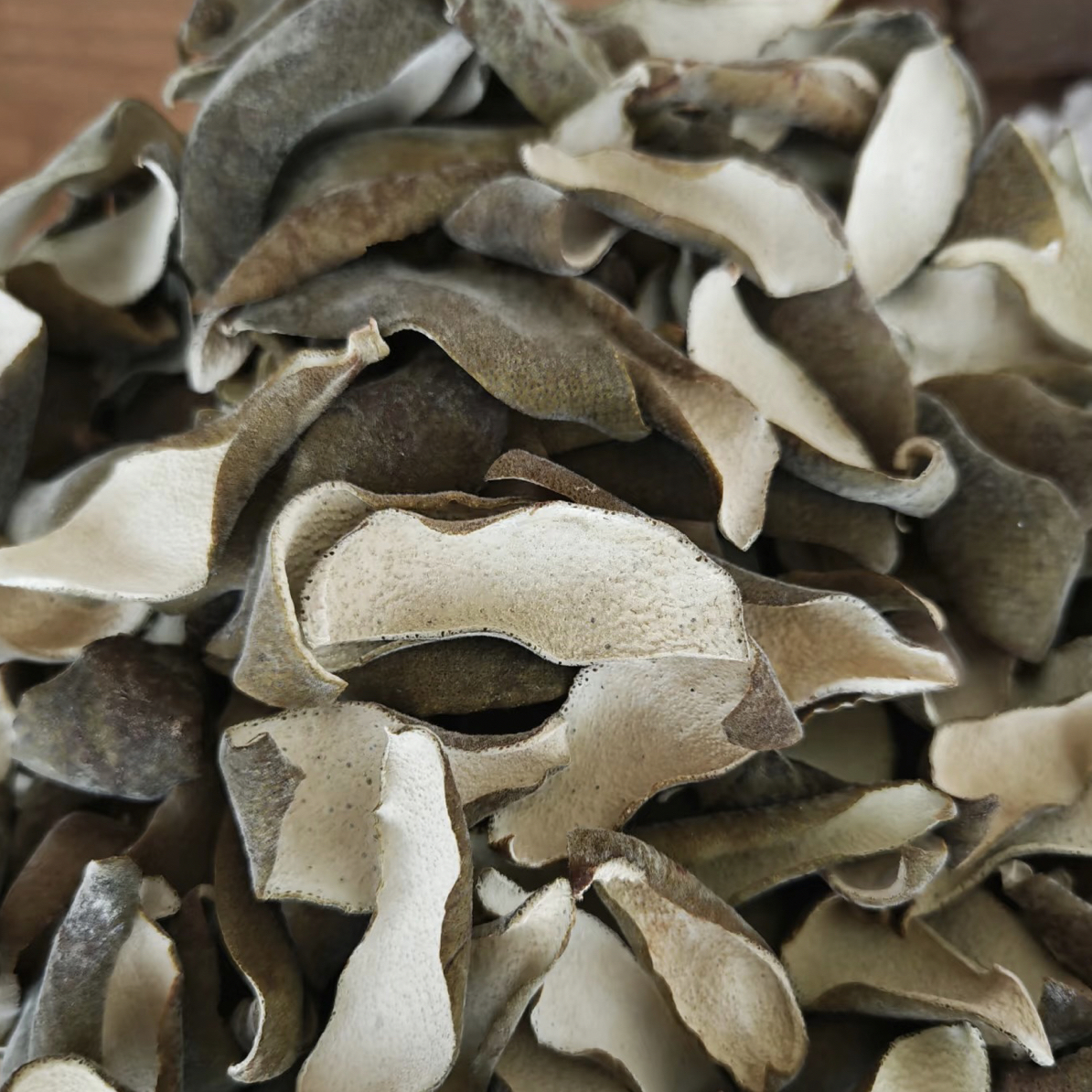 佟妈煌煌木矞红-鱼胶伴侣