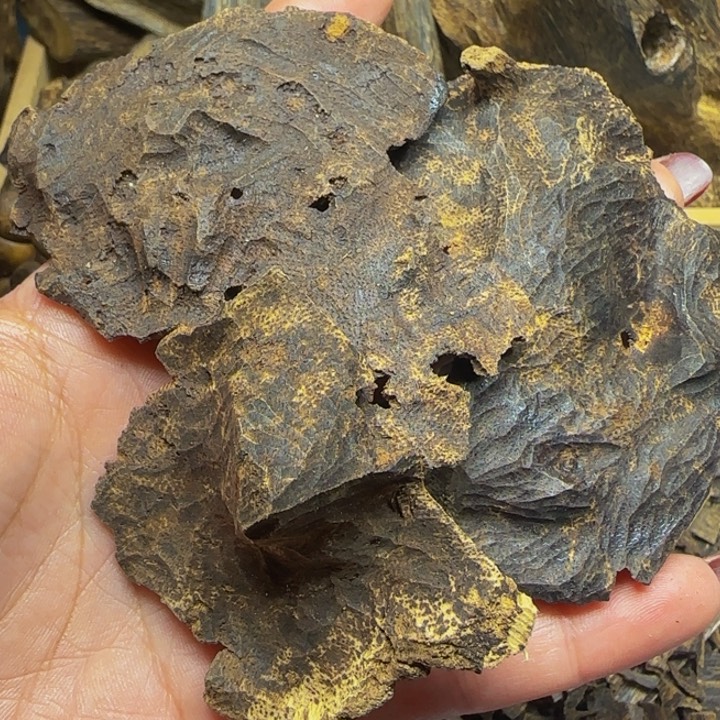 木海南尖峰岭老顶10克