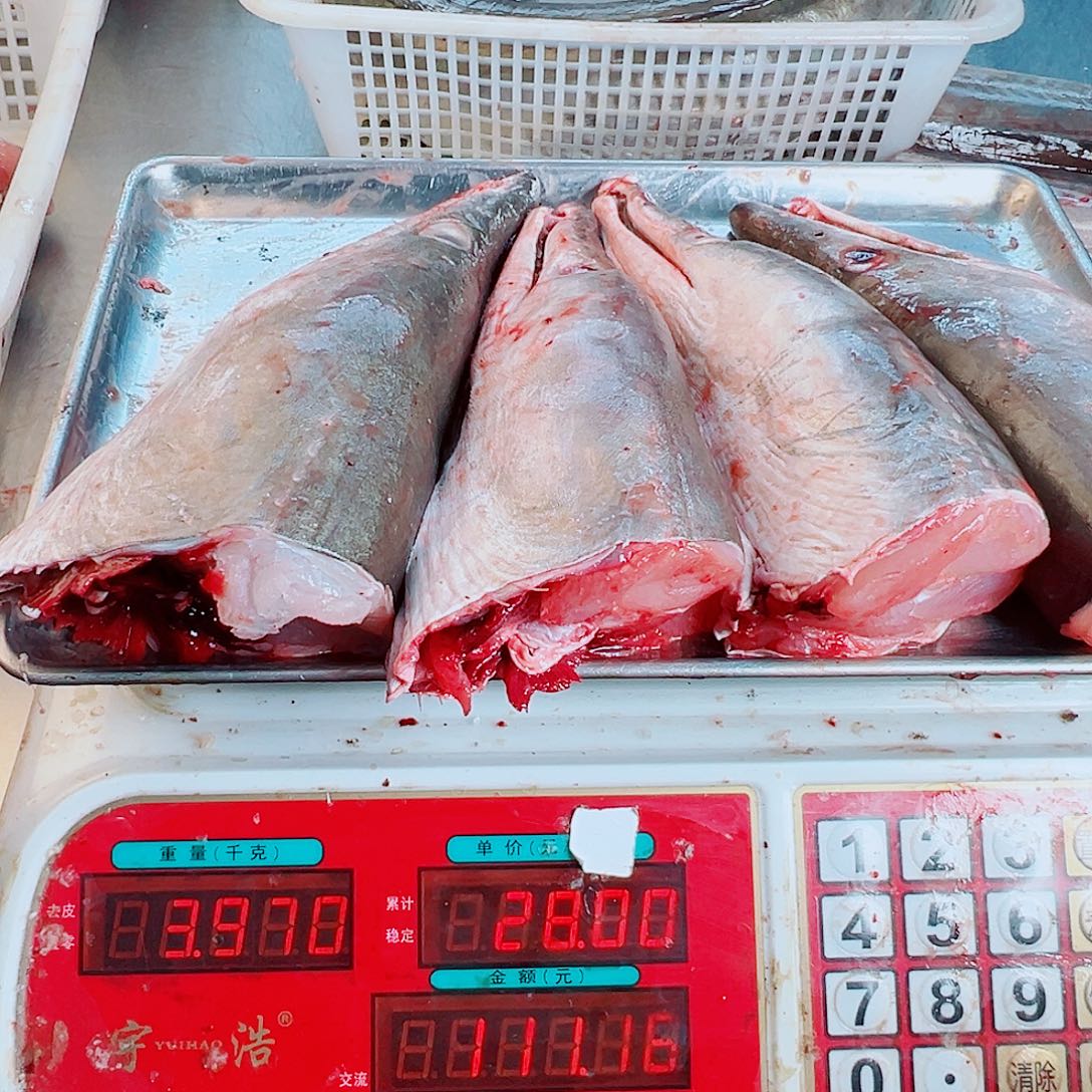 中国大陆四个鳗鱼头