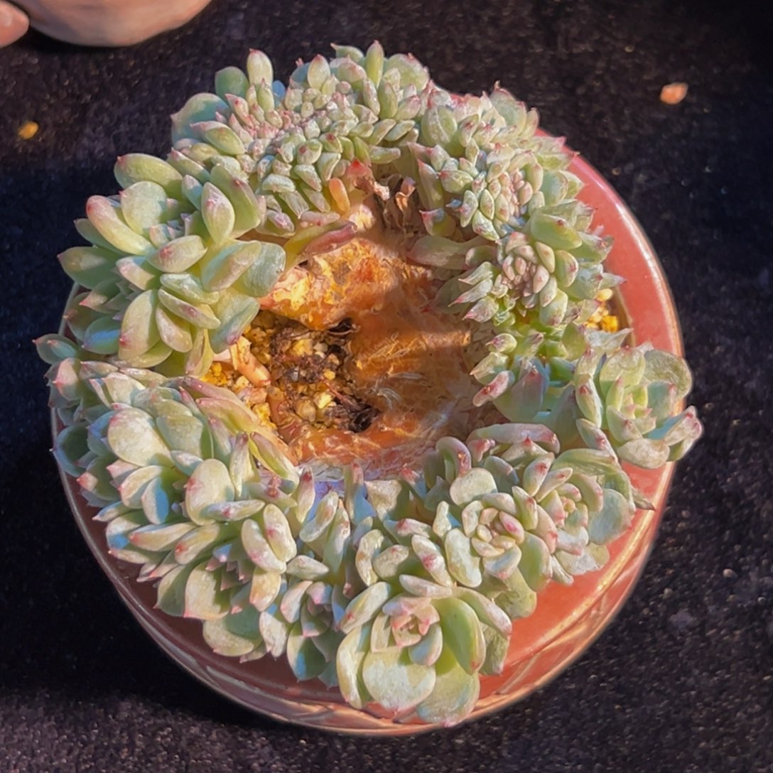 新年快乐 新年快乐