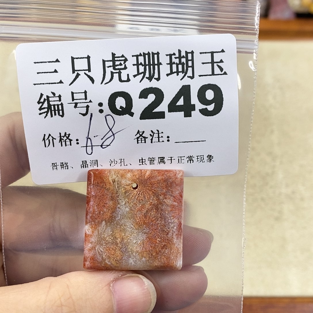 硅化珊瑚（珊瑚玉）1未镶嵌小***O