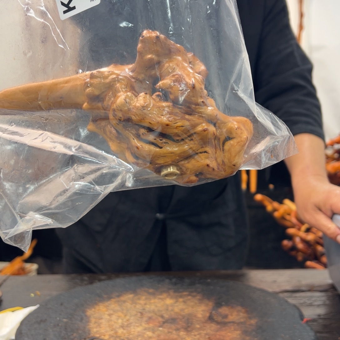 其他黑果木黑果木372