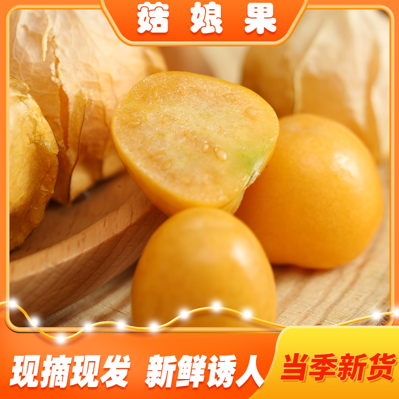 东北姑娘果灯笼果新鲜采摘香甜当季水果应季菇娘果