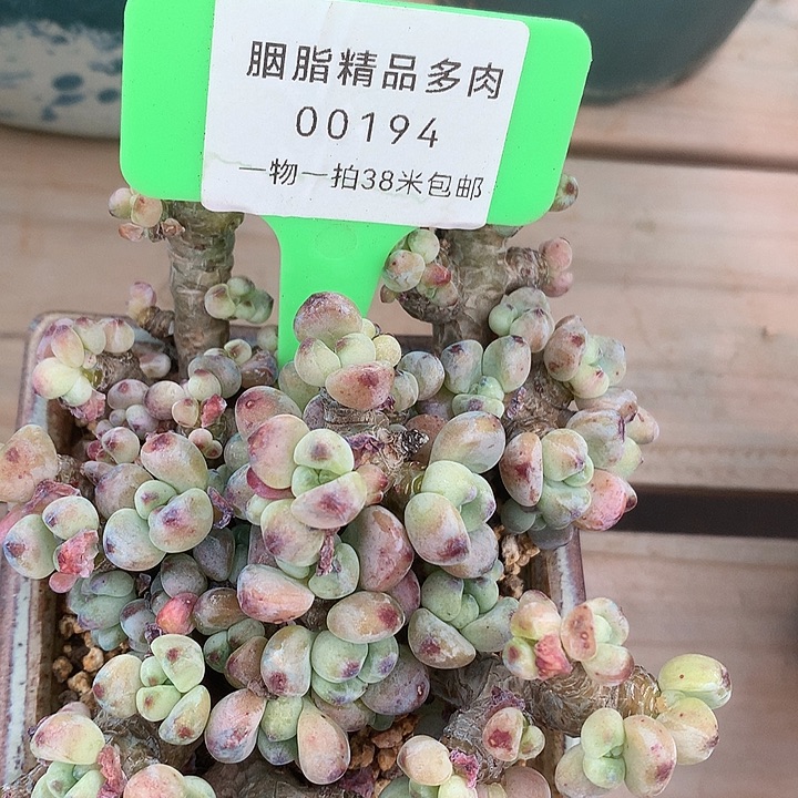 00194个璐璐嗯涂姐姐