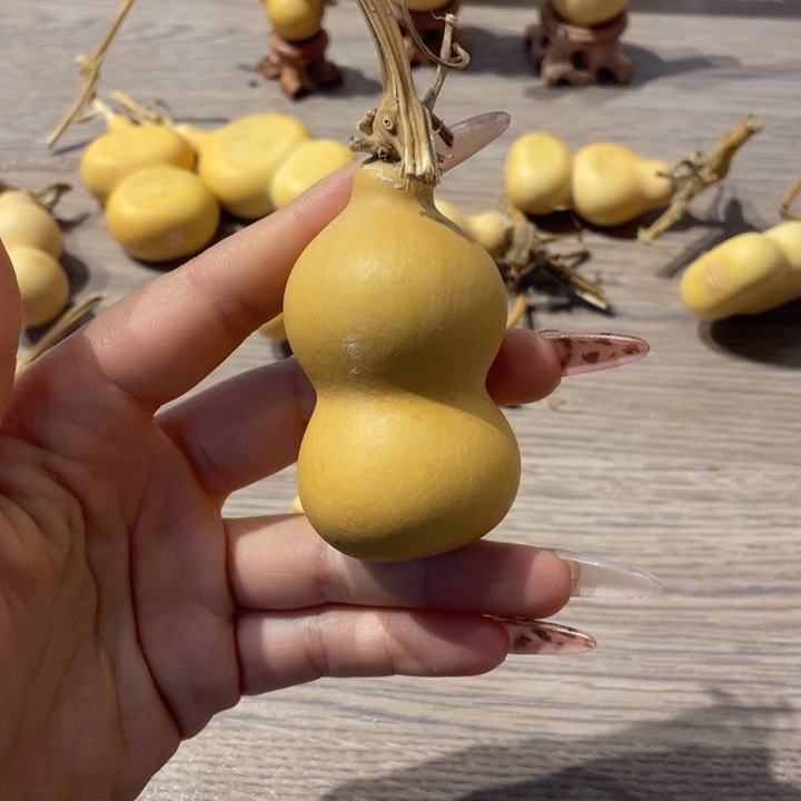 用****9葫芦葫芦葫芦葫芦