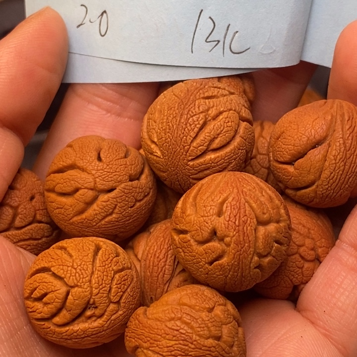 桃核吊坠秦岭龙纹桃核20