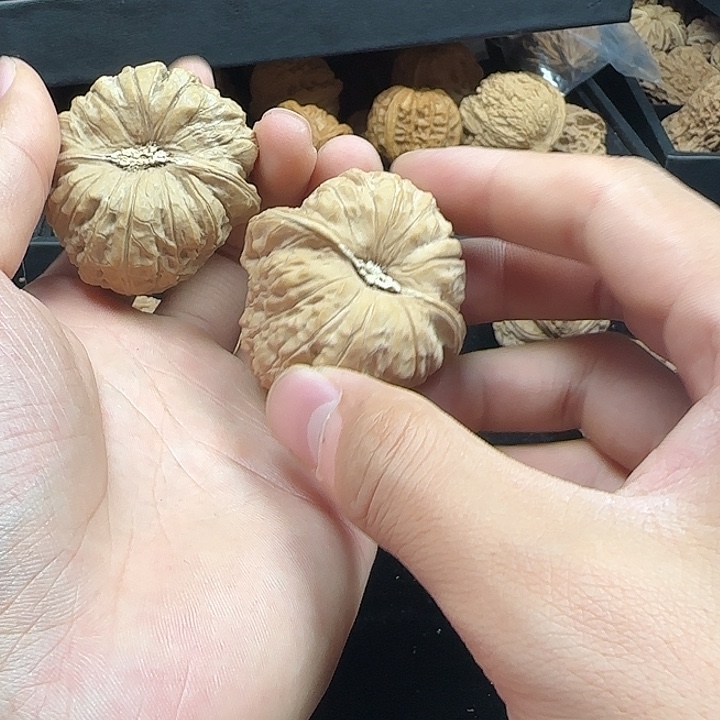 壹***钧吊坠龙脊菩提啊啊啊啊啊啊啊南瓜10