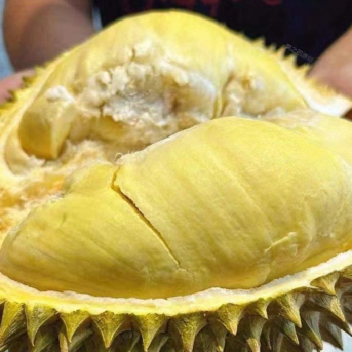 新鲜金枕榴莲肉2斤无售后