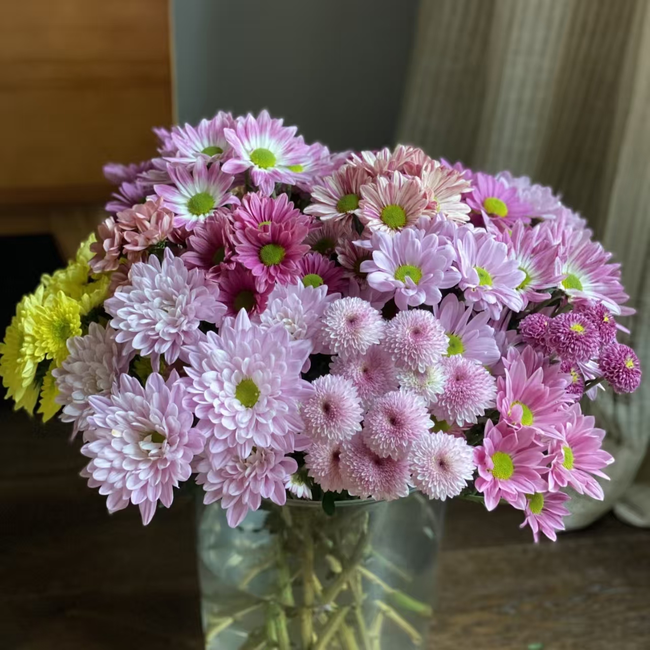 15枝随机色小雏菊5-6个色 耐养好打理花期超长待机 云南基地直发