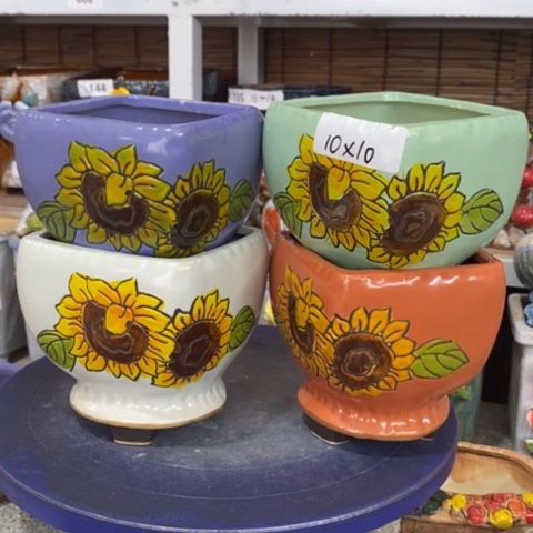 【闪购商品】         