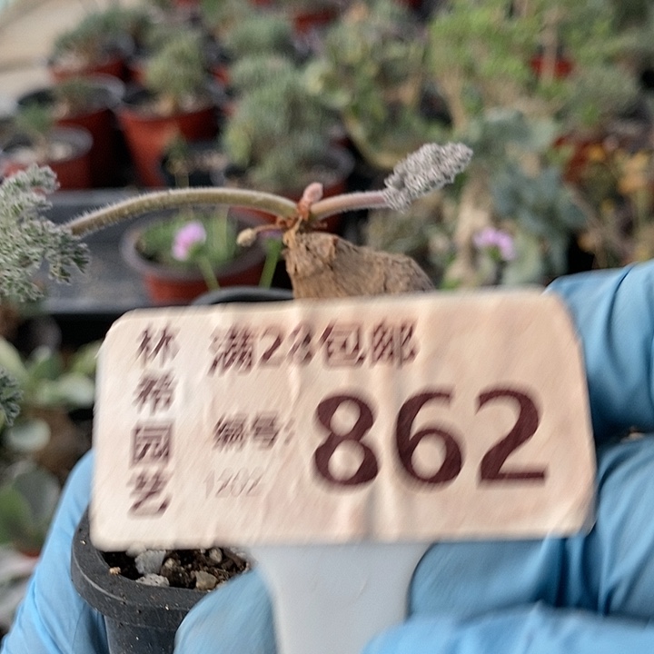 越*樾862一一一一一一一一一