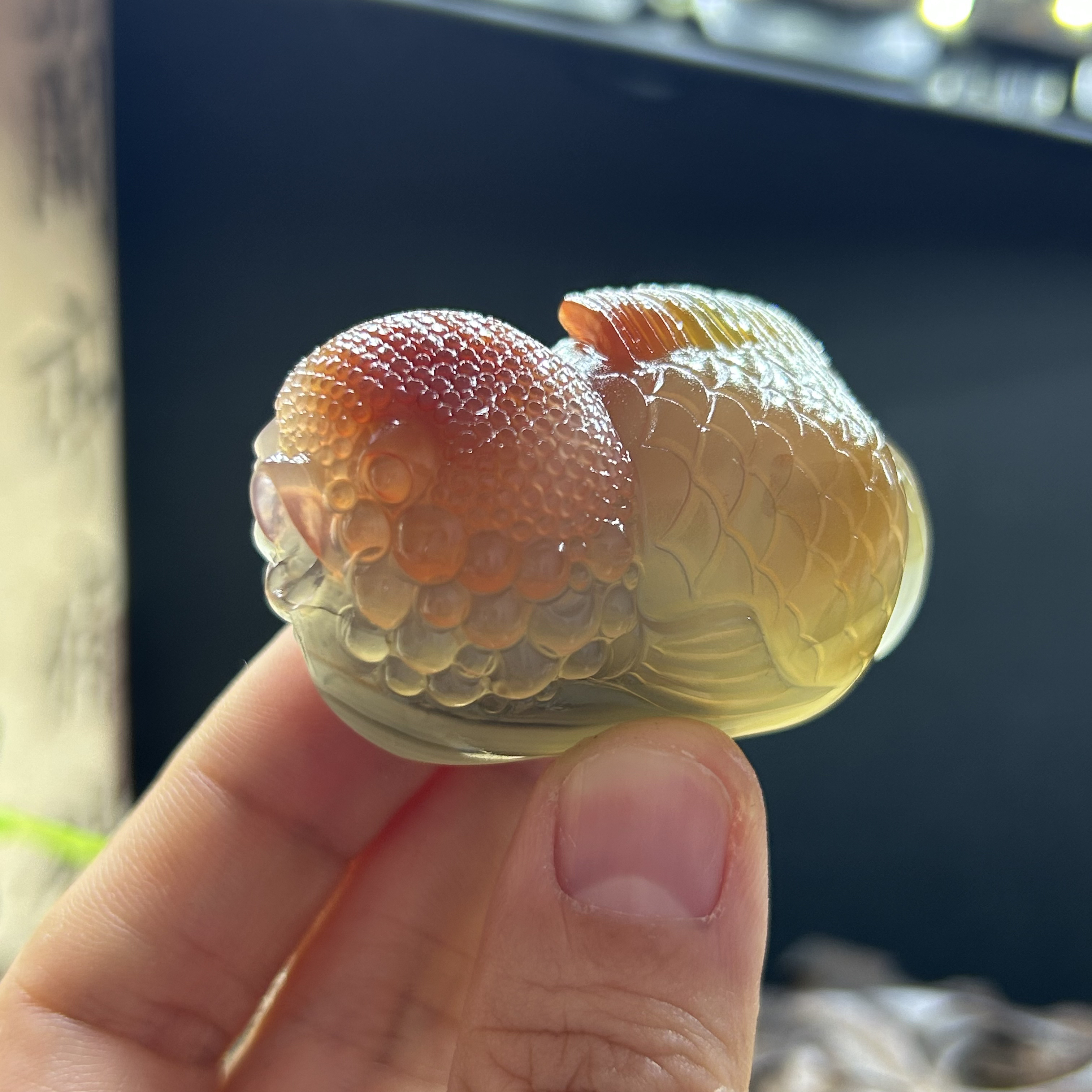 天然玛瑙俏色巧雕兰寿金鱼手把件摆件