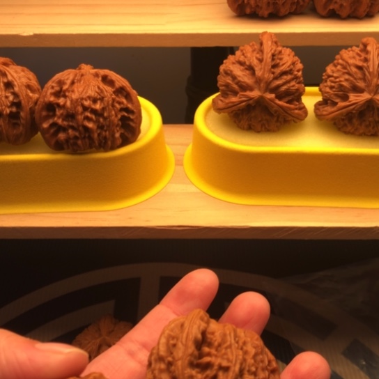 二***登啊泪你啊林搭理我啊Joe里