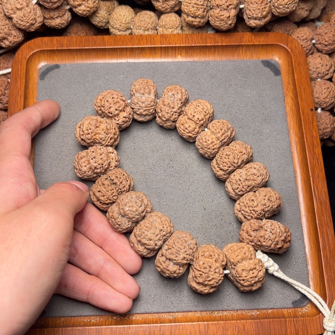 菩提6号尼泊尔大金刚25.5-26五星梅花爆肉夹板梁