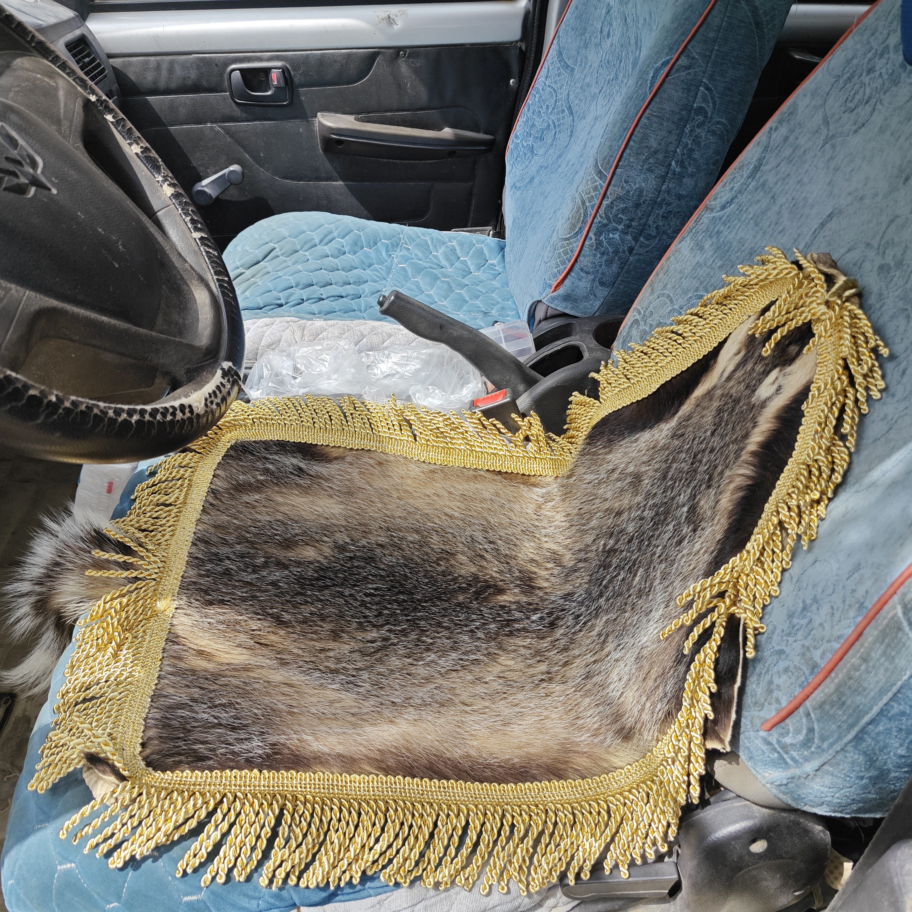 西北第一家狗獾养殖，狗獾獾皮坐垫，看这毛量，亮堂堂