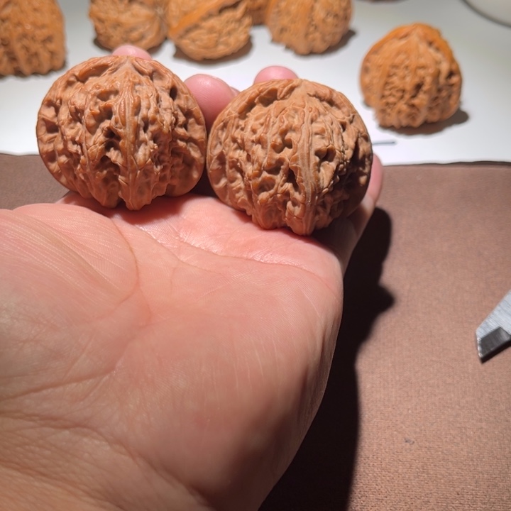 阿***v精品白狮子47尺寸