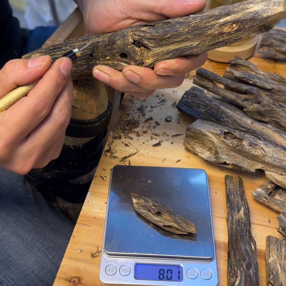 沉香沉香碎屑虫漏