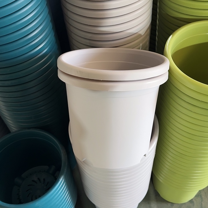 四季5#口径29灰白10个无托