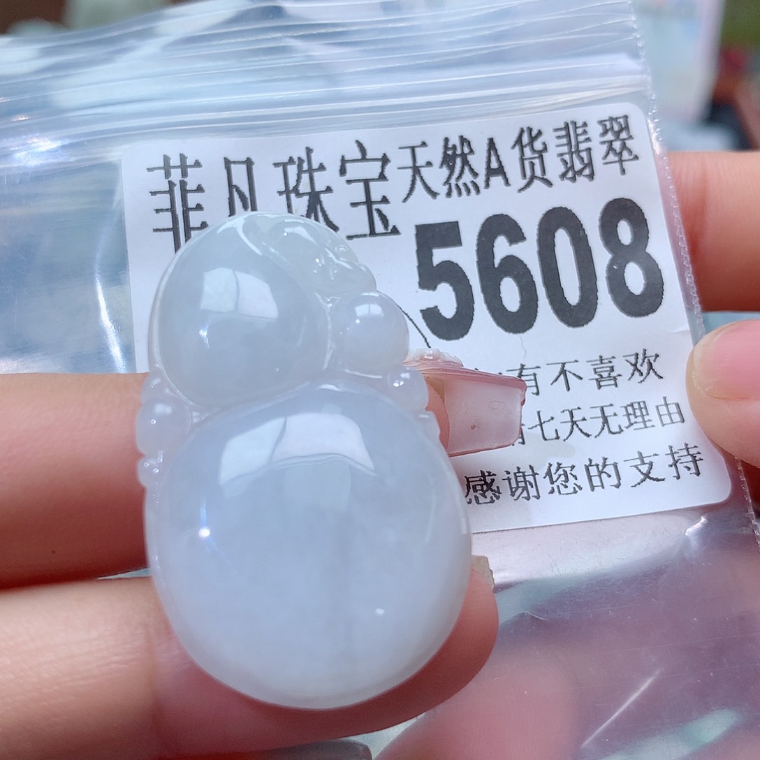 翡翠未镶嵌颈饰，5608