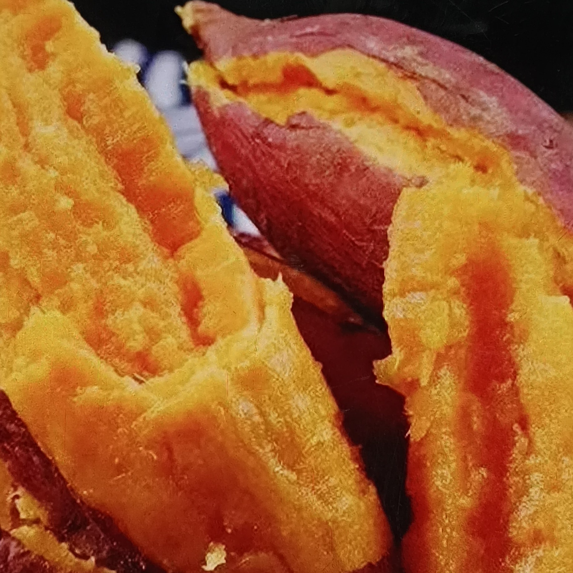 湖南湘西农家黄心红薯