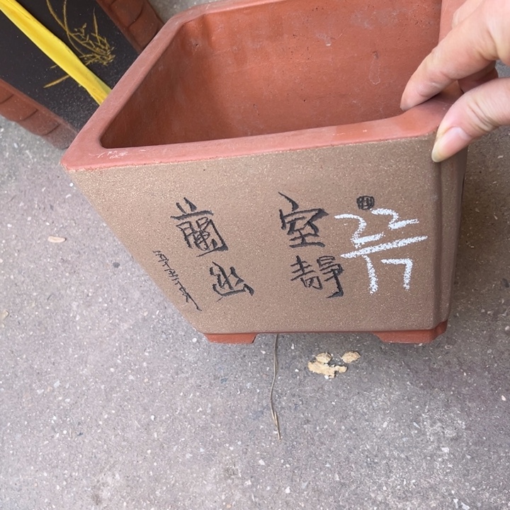 花盆紫砂紫砂花盆