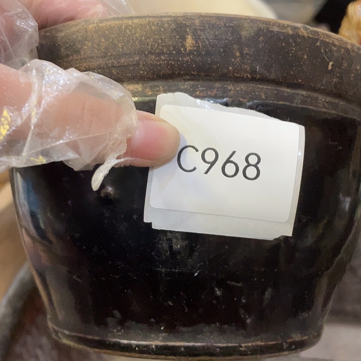 东***星瓷片c968工艺品店