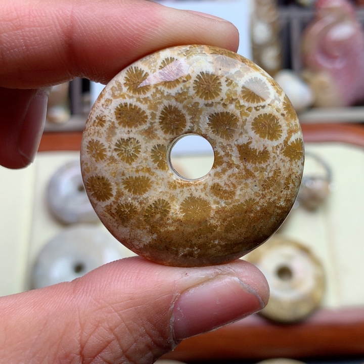 硅化珊瑚（珊瑚玉）颈饰未镶嵌