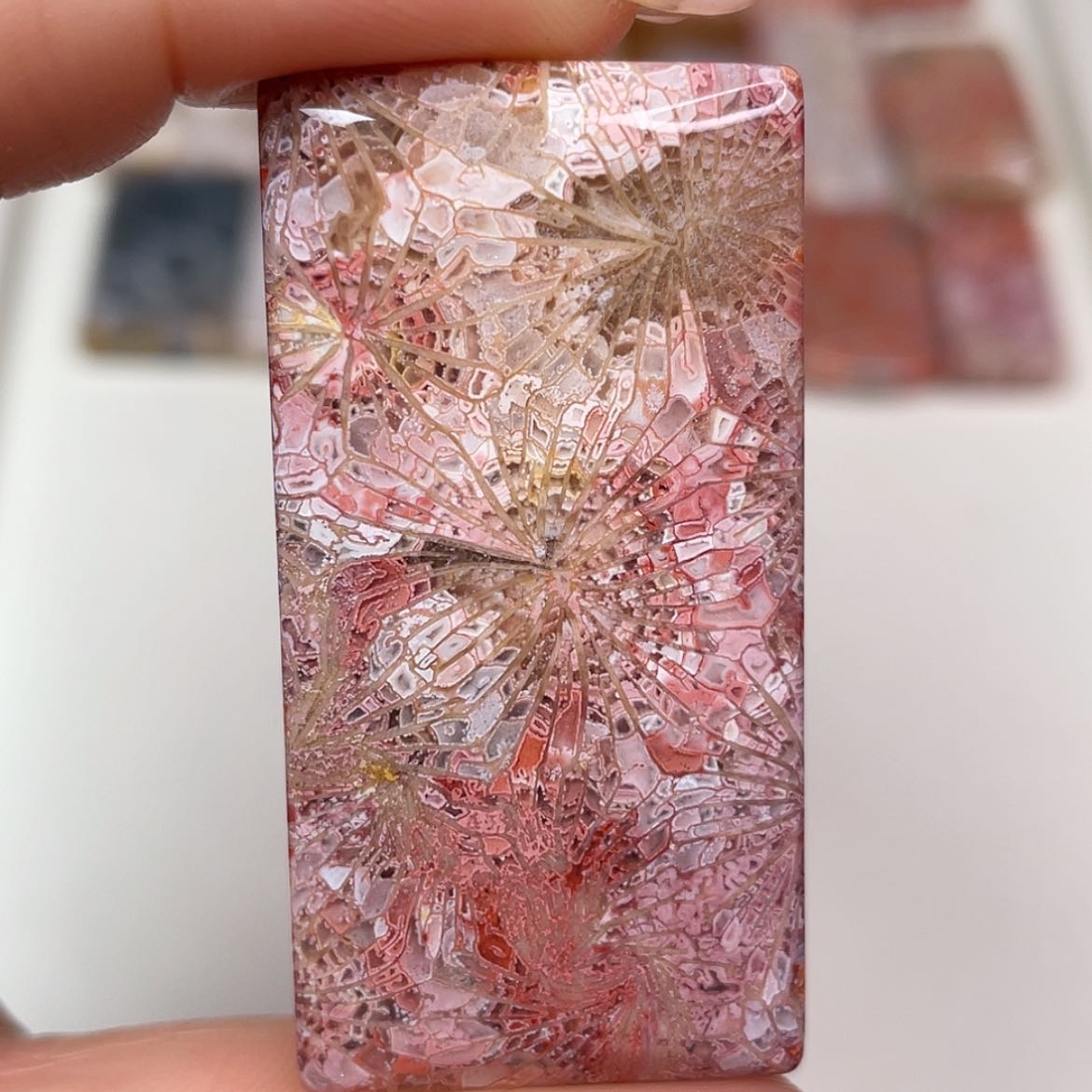 【闪购商品】未镶嵌吊坠(赠链)硅化玉