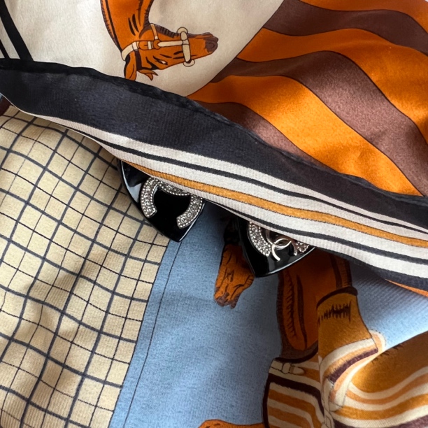 JINRAN黑色小抓夹一对