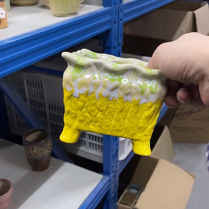 花盆单场满9.9发货11×9.5黄