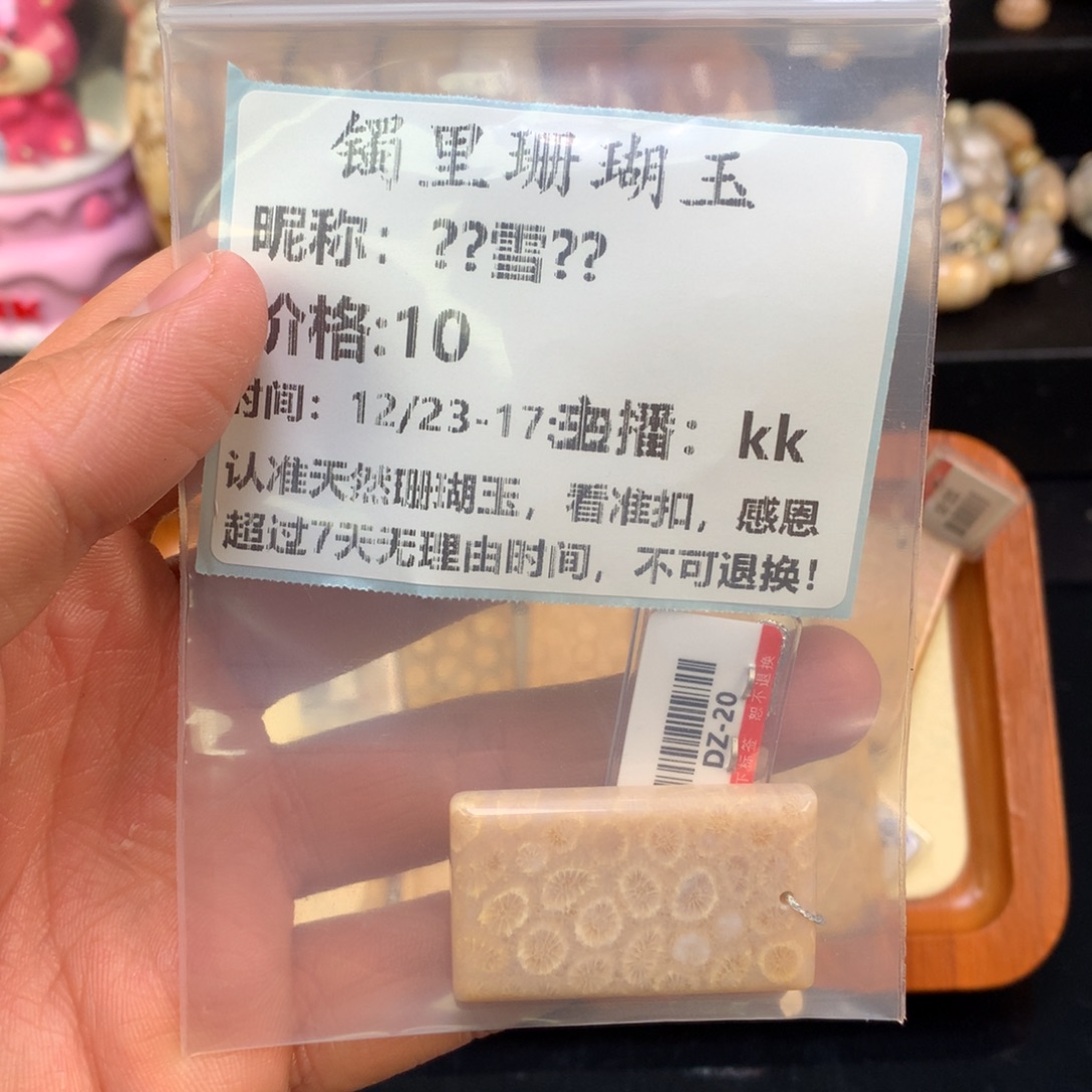 *****硅化珊瑚（珊瑚玉）未镶嵌颈饰