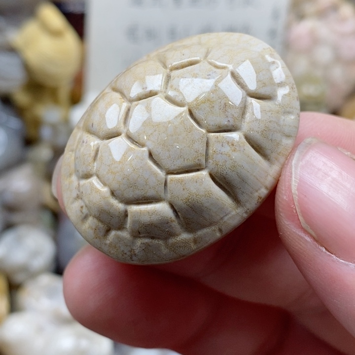 颈饰未镶嵌硅化珊瑚（珊瑚玉）