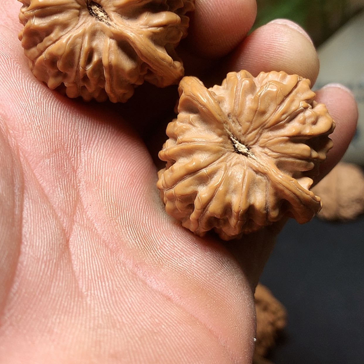 【闪购商品】文玩核桃把件ㅤ****ㅤ龙卷风小众野麻把件