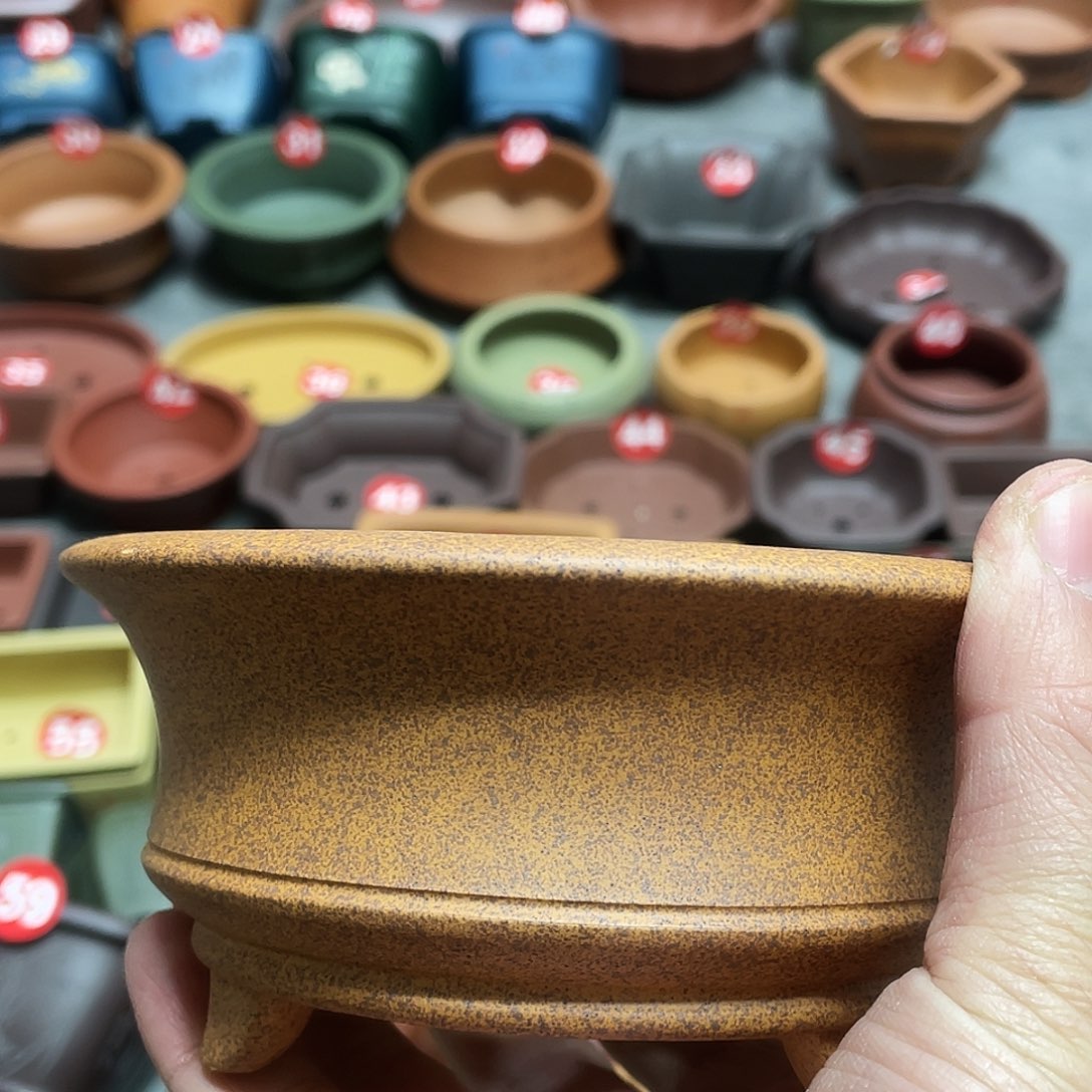 紫砂小盆11*4.5cmmmm