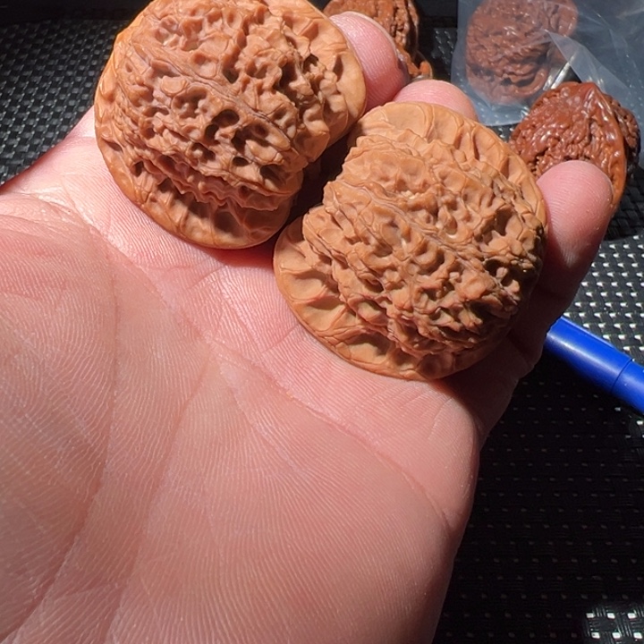 大叶紫檀（黑酸枝木类）血麒麟文玩核桃把件