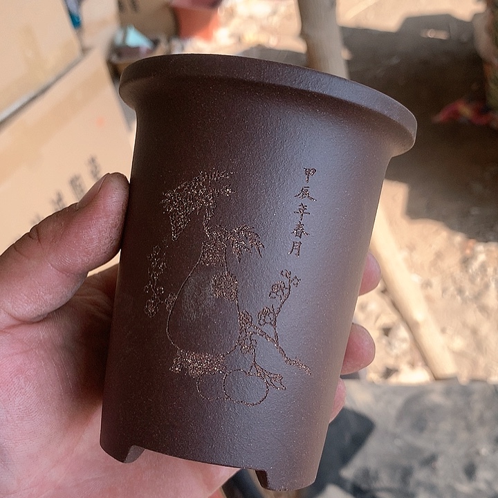 紫砂我要不明天你