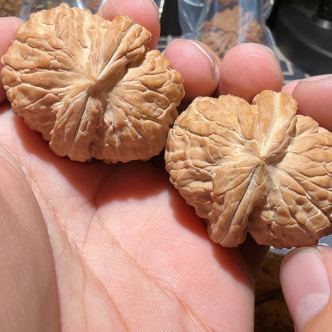 文玩核桃把件三**头元宝·天花板