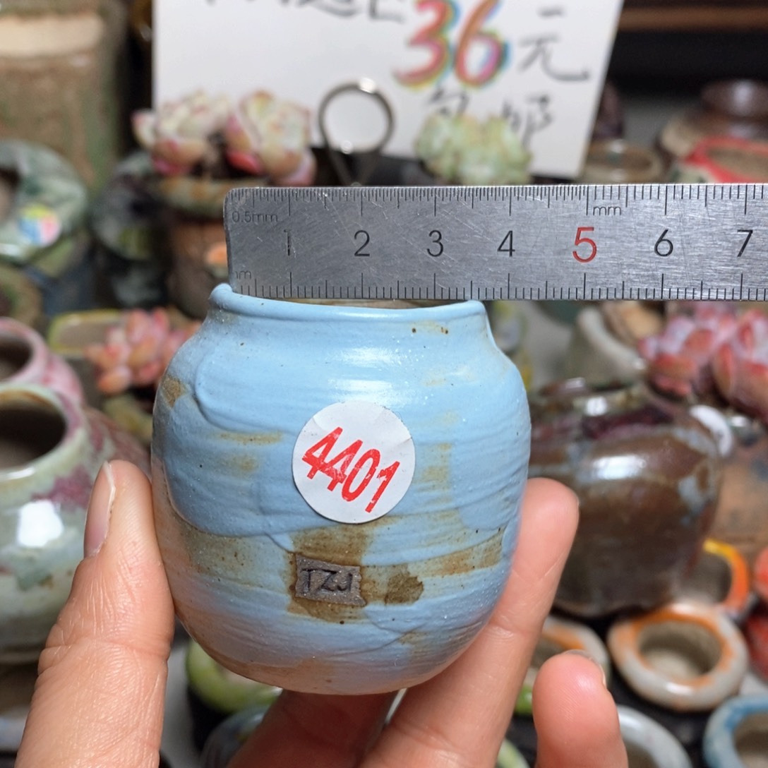 花盆拍5送一个小礼物