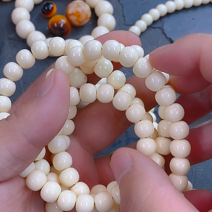 大果紫檀（缅甸花梨）235