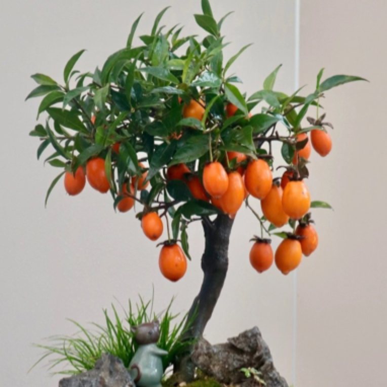 金蛋子人工庄店老板