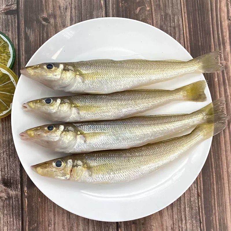 M【琅琊码头直发】野生沙丁鱼4斤（1斤12-16条左右）新鲜海捕