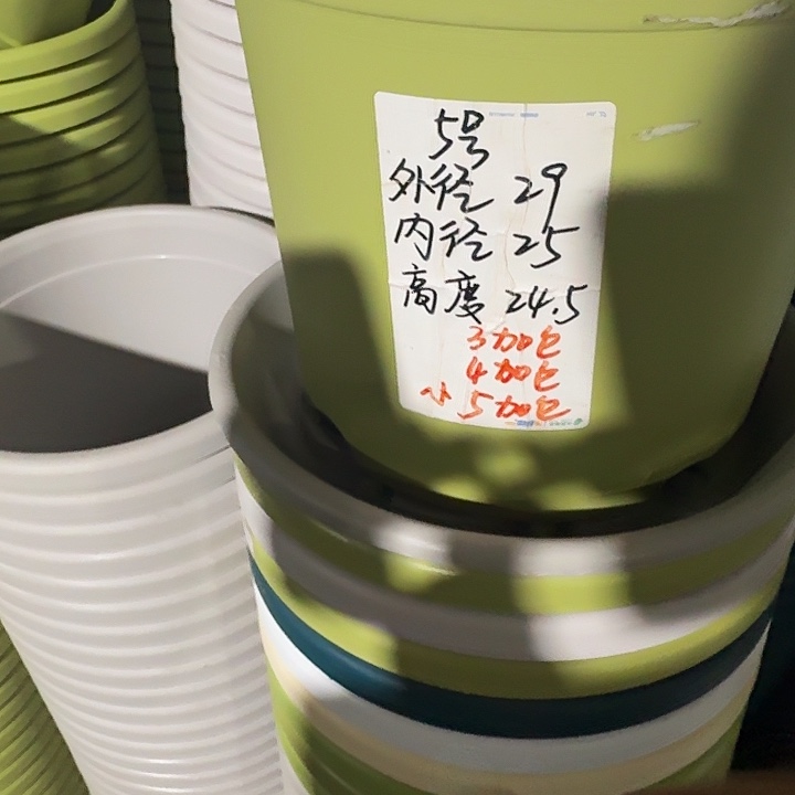 四季5号果绿无托6个特价微瑕