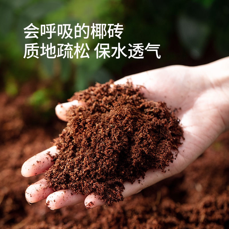 寄居蟹椰土饲养专用营养土爬宠生态造景用品苔藓垫材免泡