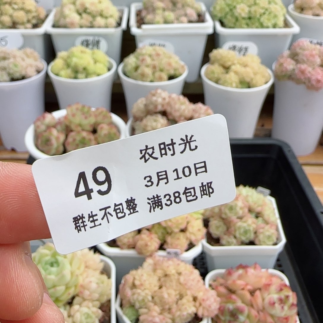 暖*【闪购商品】0310-49打包