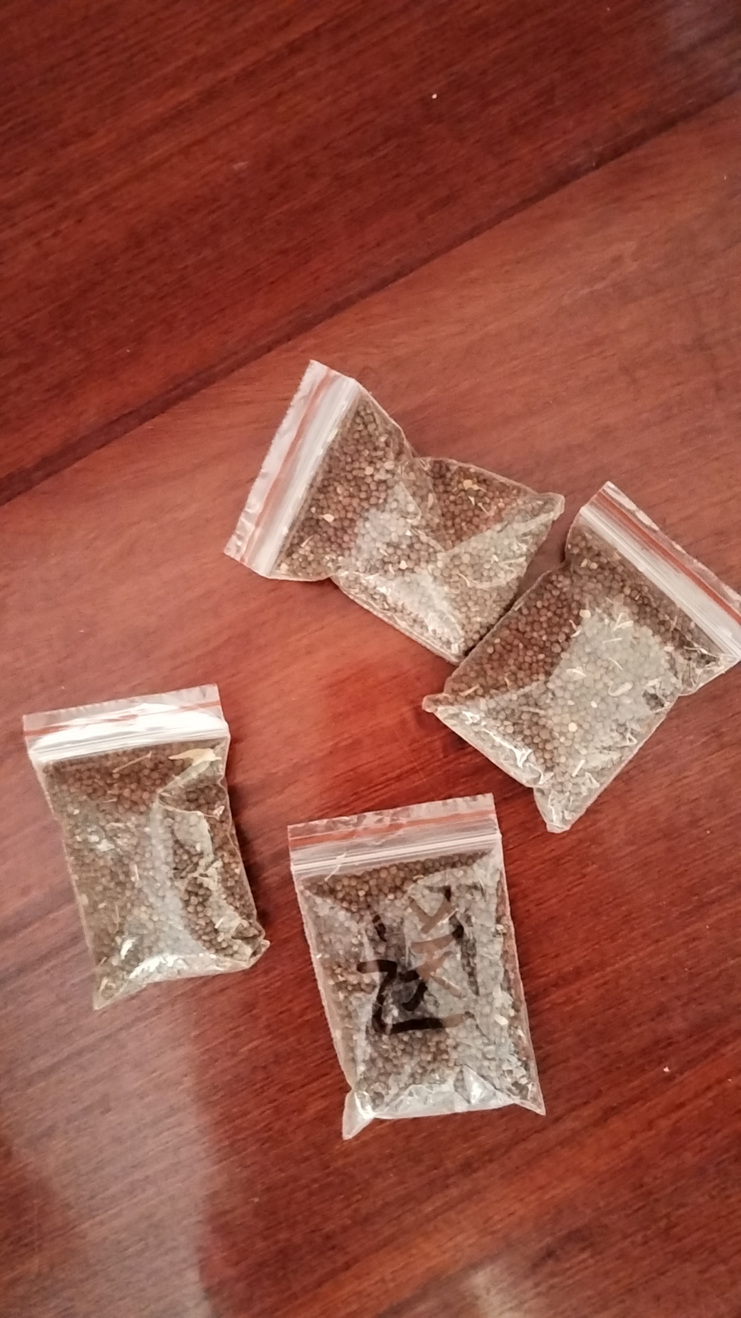 羽衣甘蓝种子好花源于好苗