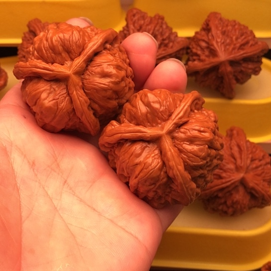 立***询核桃核桃和他的核桃核桃