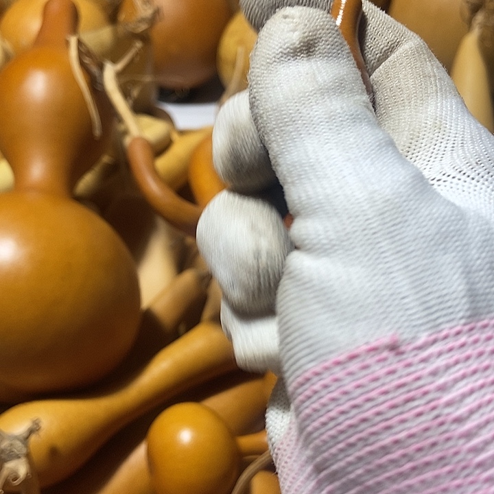 泷***晴直播间里的拍品链接