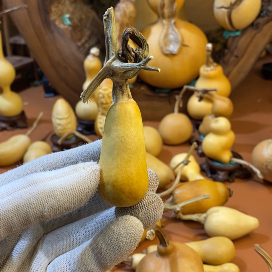 ₯***九，教练教练教练咯哦哦