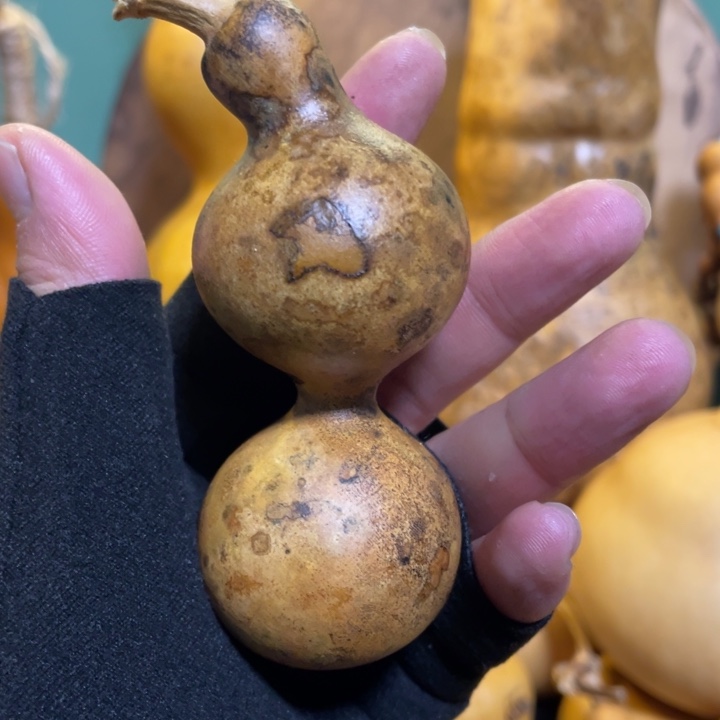 看好下单不保龙头